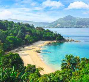 Tropische Bucht mit goldenem Sandstrand, t&uuml;rkisblauem Wasser und dichtem gr&uuml;nen Regenwald im Hintergrund.