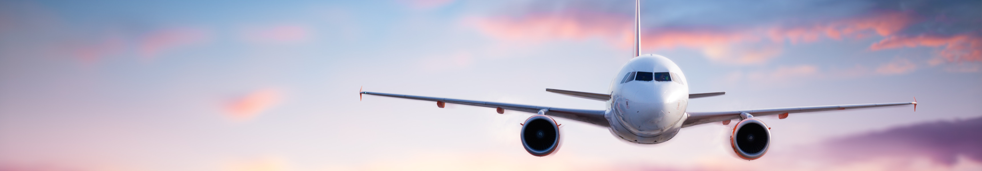 AdobeStock 243549193 1