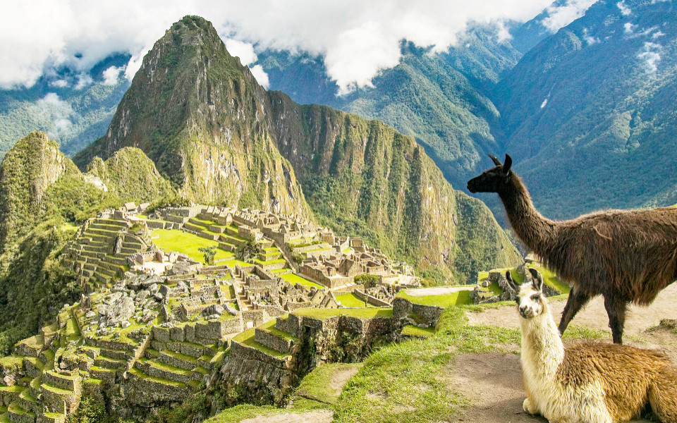 Bild Motto By Hilton Cusco