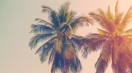 AdobeStock_107077028